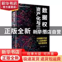 正版 数据权益资产化与监管 大数据时代的个人信息保护与价值实现