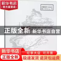 正版 地州城镇体系规划 新疆维吾尔自治区住房和城乡建设厅编 中