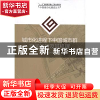 正版 城市化进程下中国城市群空间运行及其机理 彭翀,顾朝林著