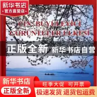 正版 中国风光 林武汉主编 五洲传播出版社 9787508519067