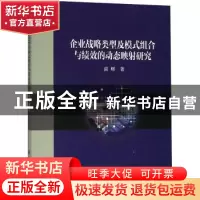 正版 企业战略类型及模式组合与绩效的动态映射研究 雷辉著 科学
