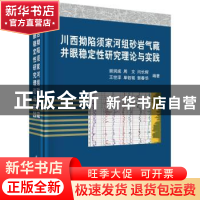 正版 川西拗陷须家河组砂岩气藏井眼稳定性研究理论与实践 谢润成