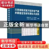 正版 川西拗陷须家河组砂岩气藏井眼稳定性研究理论与实践 谢润成