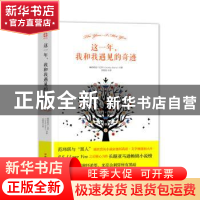 正版 这一年,我和我遇见的奇迹 (爱尔兰)塞西莉亚·艾亨著 四川人