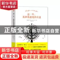 正版 这一年,我和我遇见的奇迹 (爱尔兰)塞西莉亚·艾亨著 四川人