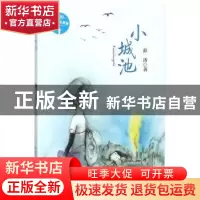 正版 小城池 薛涛著 辽宁少年儿童出版社 9787531575702 书籍