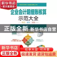 正版 企业会计明细账核算示范大全 周建龙,杨英 人民邮电出版社 9