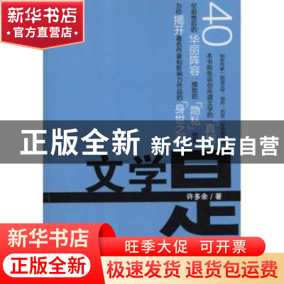 正版 文学是个什么玩意儿 许多余著 电子工业出版社 978712112395