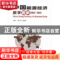 正版 中国能源经济数字图解:2012-2013 魏一鸣,张跃军主编 科学