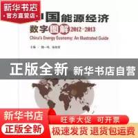 正版 中国能源经济数字图解:2012-2013 魏一鸣,张跃军主编 科学
