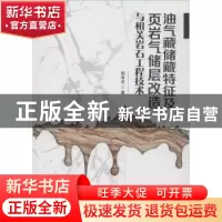 正版 油气藏储藏特征及页岩气储层改造与相关岩石工程技术 陆有忠