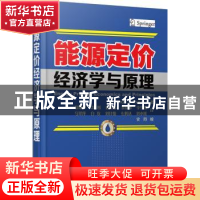 正版 能源定价经济学与原理 (美)Roger L. Conkling著 机械工业出