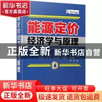 正版 能源定价经济学与原理 (美)Roger L. Conkling著 机械工业出