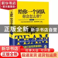 正版 给你一个团队你会怎么带? 刘漠著 煤炭工业出版社 97875020