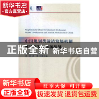 正版 中国规划类清洁发展机制项目开发与市场机制 郭日生,彭斯震