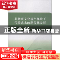 正版 非物质文化遗产视域下传统武术的现代化发展 王琼,吴强,薛