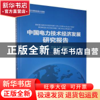 正版 中国电力技术经济发展研究报告:2019:2019 电力规划设计总院