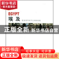 正版 埃及:在远古与当下之间的观看 刘远 中国文联出版社 9787505