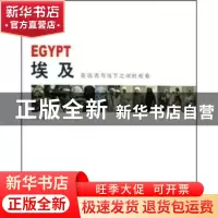 正版 埃及:在远古与当下之间的观看 刘远 中国文联出版社 9787505