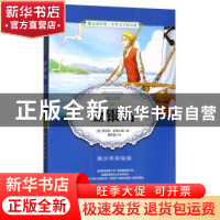 正版 金银岛:青少年彩绘版 严军 江苏人民出版社 9787214203434