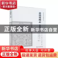 正版 嘉靖郑州志校释/郑州市地方史研究丛书 王继洛,郑州市地方史