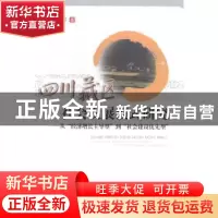 正版 四川藏区社会发展模式研究:从“经济增长主导型”到“社会建
