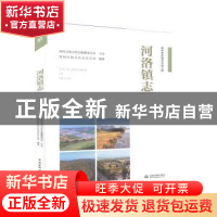 正版 河洛镇志 郑州市地方史志办公室 中国水利水电出版社 978751