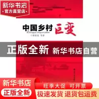 正版 中国乡村巨变 张春龙等著 江苏人民出版社 9787214160188 书