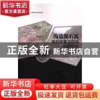 正版 沟道泥石流堆积体复活启动机制研究 王硕楠,赵菲,和飞著