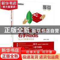 正版 左手MongoDB,右手Redis:从入门到商业实战 谢乾坤编著 电子