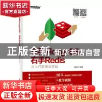 正版 左手MongoDB,右手Redis:从入门到商业实战 谢乾坤编著 电子