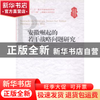 正版 安徽崛起的若干战略问题研究 程必定著 安徽人民出版社 9787