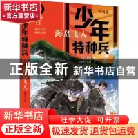 正版 少年特种兵:典藏版:13:13:海岛卷:海岛飞人 张永军著 中国少
