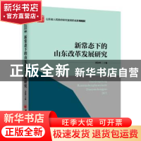 正版 新常态下的山东改革发展研究 刘险峰主编 中国经济出版社 97