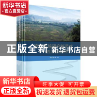 正版 流域系统研究新范式——西江流域案例 胡宝清等著 科学出版