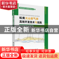 正版 松南火山岩气田高效开发技术与实践 石兴春,元涛,李江龙编