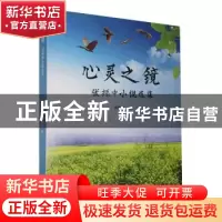 正版 心灵之镜:张振中小说选集 张振中 华龄出版社 978751691547