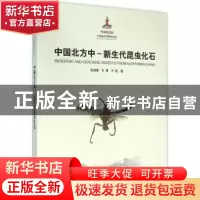正版 中国北方中-新生代昆虫化石 张海春,王博,方艳著 上海科学