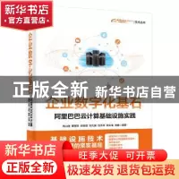 正版 企业数字化基石——阿里巴巴云计算基础设施实践 高山渊,蔡