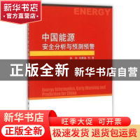 正版 中国能源安全分析与预测预警 陈彬,刘耕源等著 科学出版社