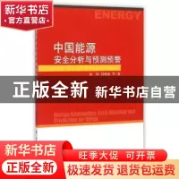 正版 中国能源安全分析与预测预警 陈彬,刘耕源等著 科学出版社
