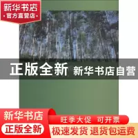 正版 西南桦人工林群落研究 王卫斌,吴兆录,杨德军等著 科学出