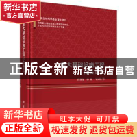 正版 重大基础设施工程社会责任 曾赛星,林翰,马汉阳著 科学出