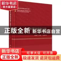 正版 重大基础设施工程社会责任 曾赛星,林翰,马汉阳著 科学出