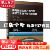 正版 南海西部在生产油气田化学工艺技术研究及实践 姜平 主编 化
