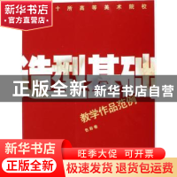 正版 全国十所高等美术院校造型基础教学作品范例:色彩卷 全国十