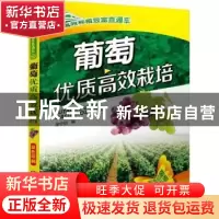 正版 葡萄优质高效栽培 单守明 机械工业出版社 9787111521075 书