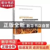 正版 基于产业空间分异的城市群协同发展机制研究 黄宾著 上海交