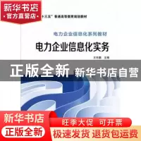 正版 电力企业信息化实务 王乐鹏主编 中国电力出版社 9787512385