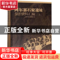 正版 阿尔寨石窟遗址保护资料汇编 阿尔寨石窟研究院 文物出版社